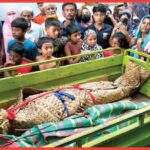 কুমিল্লায় ঘর থেকে স্ত্রী কন্যার মরদেহ উদ্ধার, স্বামী পলাতক